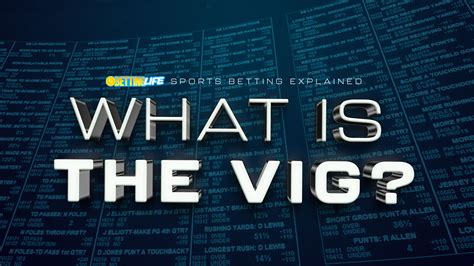 what is vig in betting.